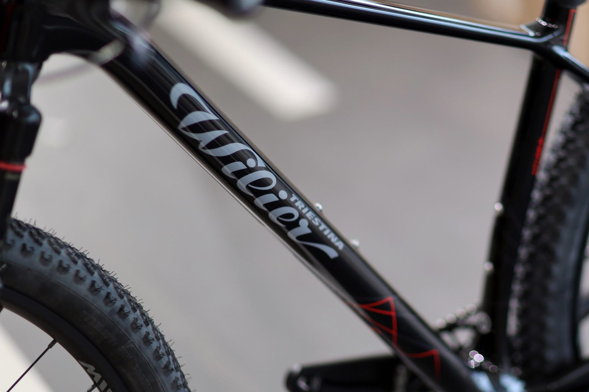 Wilier Usma SL 2025